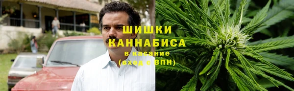 спайс Бородино