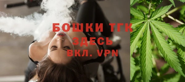 спайс Бородино