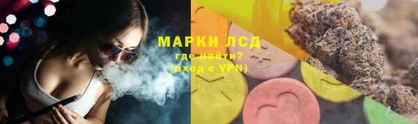 спайс Бородино