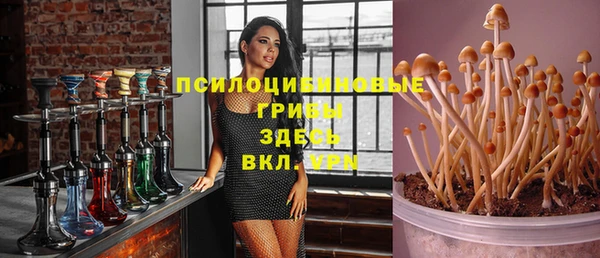 ешки Бугульма