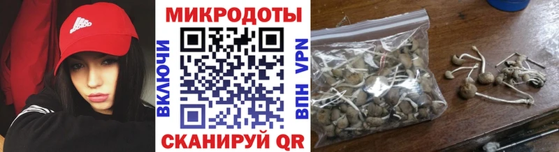 Галлюциногенные грибы ЛСД  blacksprut tor  Белгород 